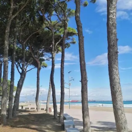 A Pie De Playa En La Pineda