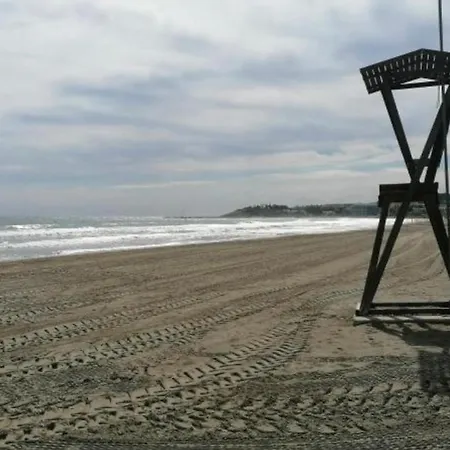 A Pie De Playa En La Pineda